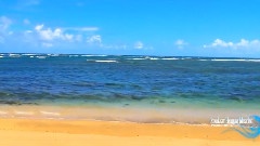Musica para paisajes que serenan el alma,