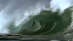海浪海豚海鸥