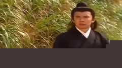 电视剧