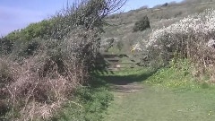 Walking Meditation 3 with Soothing, Relaxing Music