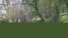 Walking Meditation 1 With Joyful Music