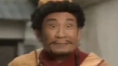 真真假假
