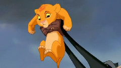 Circle Of Life