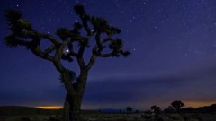 Dance Of The Moon And Stars John Adorney