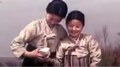 赤诚花