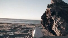 Cast A Net