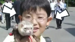 灿烈Cut