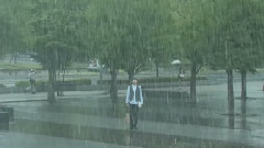 日剧<一吻定情> 饭制版
