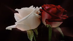 Touched By Love
