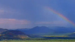 Shades Of Rain