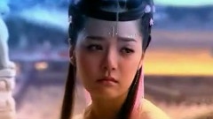 电视剧