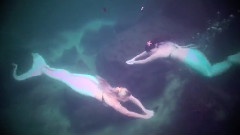 Mermaids And Merman