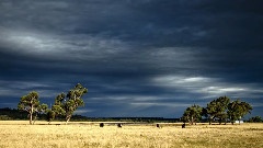 Chasing The Storm