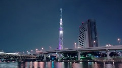 New Light Of Tokyo