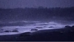 这一方河畔青青