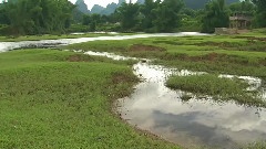 美丽的传说