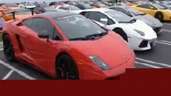 50部兰博基尼大型聚会