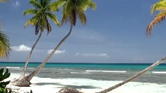 White Sand Beaches