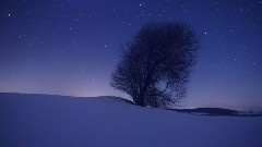 Eternal Stars