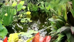 Scenery Montage