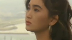 港剧<火玫瑰>