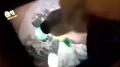 会玩iPad水果忍者的狗