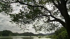 台湾白马之水天上来