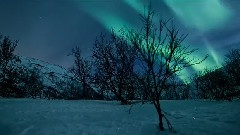 Arctic Motion