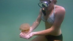 Scuba Diving In Borneo And Philippines