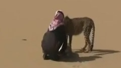 Leopard Hunts Deer For His Owner In Saudi Arabia