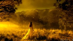 The Velocity Of Love