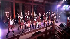 桜の花びらたち