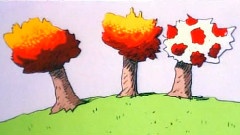 The Exciting Life Of A Tree
