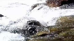 Clear Water Of Art