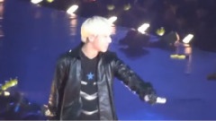 Bad Boy