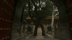 佛光