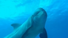 Deep Mother Love