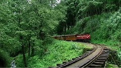 台湾阿里山游记