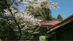 台湾刹那与永恒