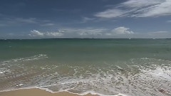 台湾美丽的约定