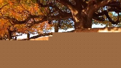 风景独秀的卡罗莱纳州
