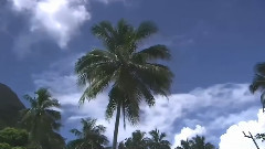世界多美丽