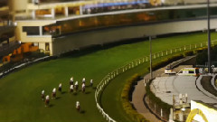 Happy Hippodrome