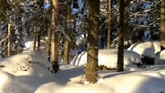 And Winter Came ...