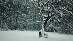 Snowfall