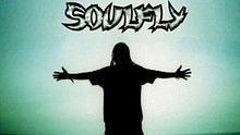 Soulfly - Soulfly - Roots Bloody Roots 现场版