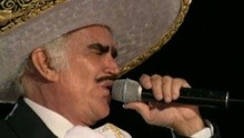 Vicente Fernández作品