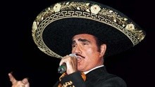 Vicente Fernández - Motivos