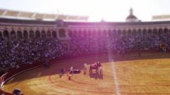 Tiny Torero
