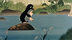 跳动72-3